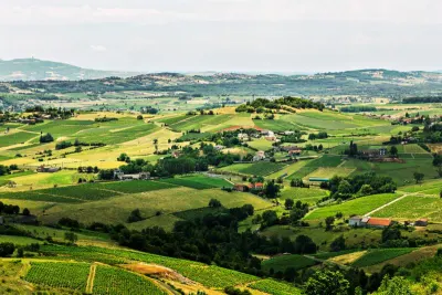 Beaujolais vineyards