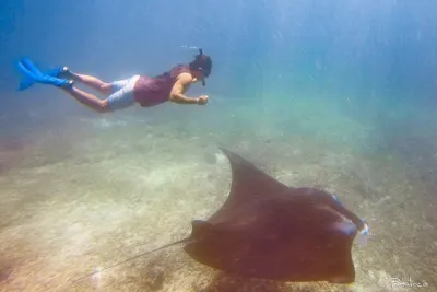 Travel Associates Indonesian Pirate Ship Cruising