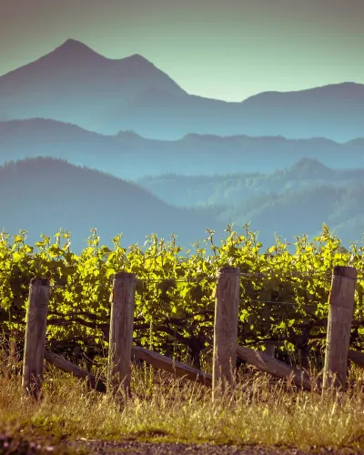 Travel Associates Food worth travelling forâ¯