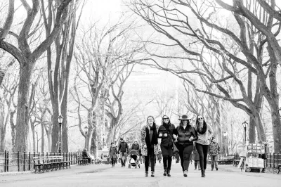 Work colleagues strolling Central Park. Image: Travelshoot
