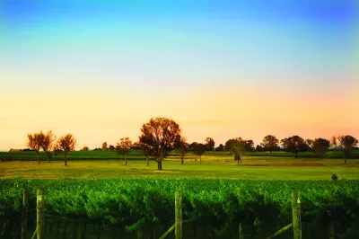 Image courtesy of VisitCanberra.