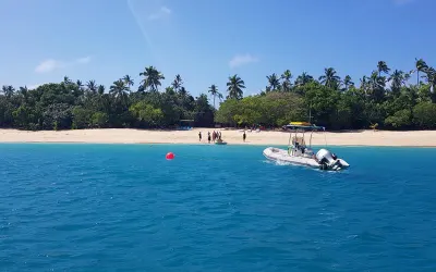 Travel Associates Swimming with Tonga's Humpback Whales