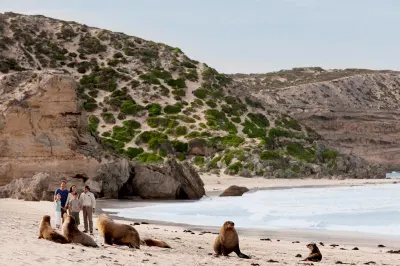 Seal Bay Conservation Park. Image: South Australian Tourism Commission