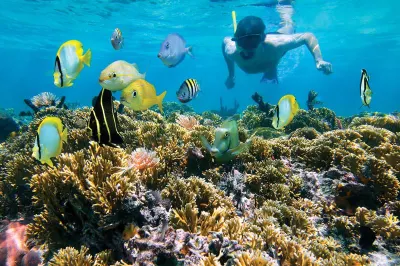 Snorkeling, Caribbean sea