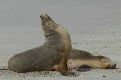 Travel Associates 10 reasons why South Australia should be your next luxury getaway