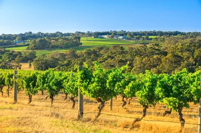 Aqua Resort Busselton