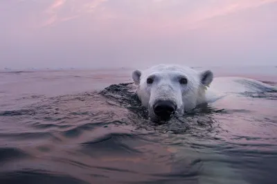 Travel Associates What Region Should You Visit in Canada?