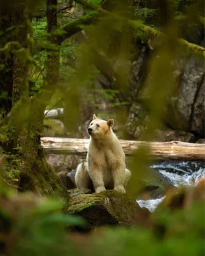 Travel Associates One of kind experiences in Canada