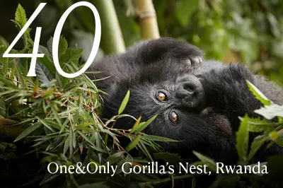 One&Only Gorilla's Nest, Rwanda, luxury travel