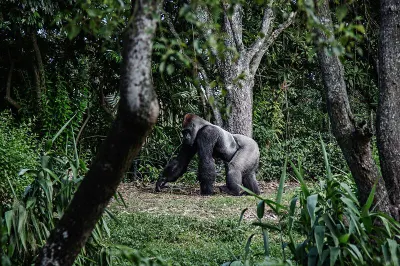 Travel Associates Ethical Wildlife Travel: See the World's Wildest (With Purpose)