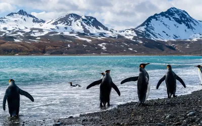 Travel Associates To be a travel expert, you need to travel