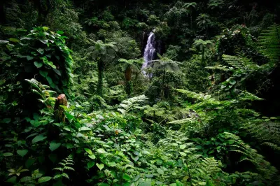 Travel Associates A Different Way To Cruise Fiji