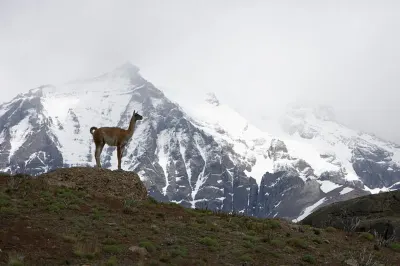 Torres del Paine lookout, Chile
