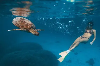 Heron Island - image by @jenrowleyyy