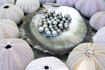 Tahitian Black Pearls