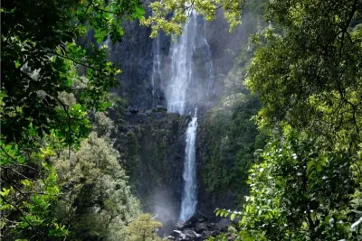 Travel Associates Highlights of the Waikato