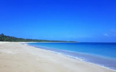 Travel Associates Swimming with Tonga's Humpback Whales