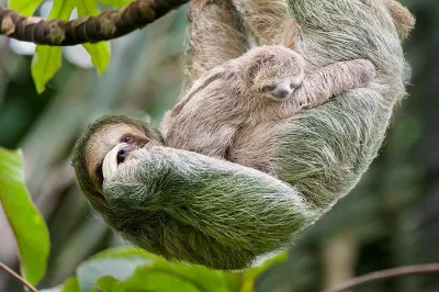 Travel Associates Things you didn't know you could experience on a cruise