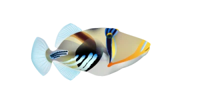 Travel Associates Uncovering the Hawaiian Islands