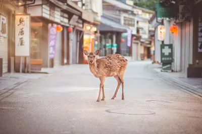 Miyajima, Old Town