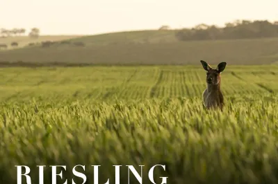 Clare Valley (image courtesy of South Australia Tourism)