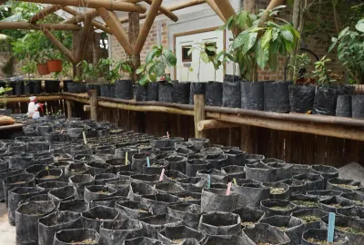 Travel Associates Bawah Reserve: Crystal Clear Waters & A Clean Conscience