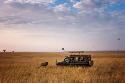 Solo Safari