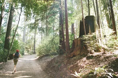 Camp Grounded Hiking Ground