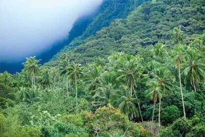 Hinterland of Moorea. Image: Linda Moon.