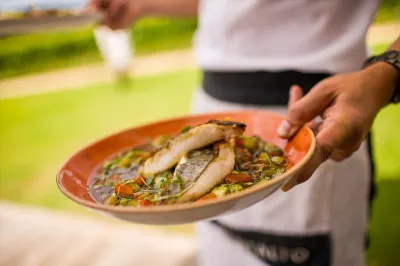 Indulgence at Montalto Vineyard Olive Grove