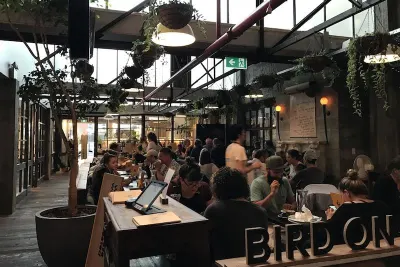 Ponsonby Central Auckland foodie scene