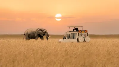 African Safari