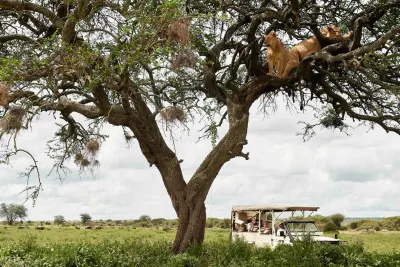 Kichakani Camp an A&K Sanctuary luxury hotel Serengeti National Park Tanzania