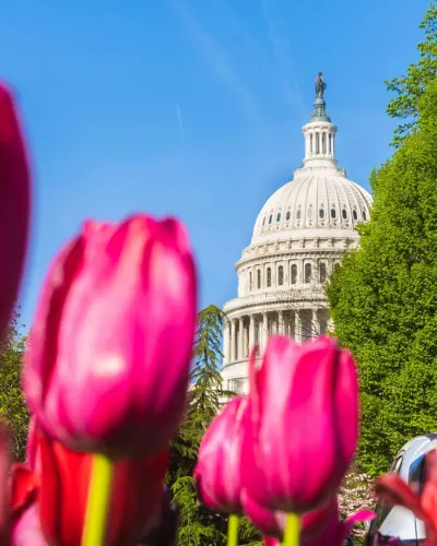 Capitol Building, Washington DC