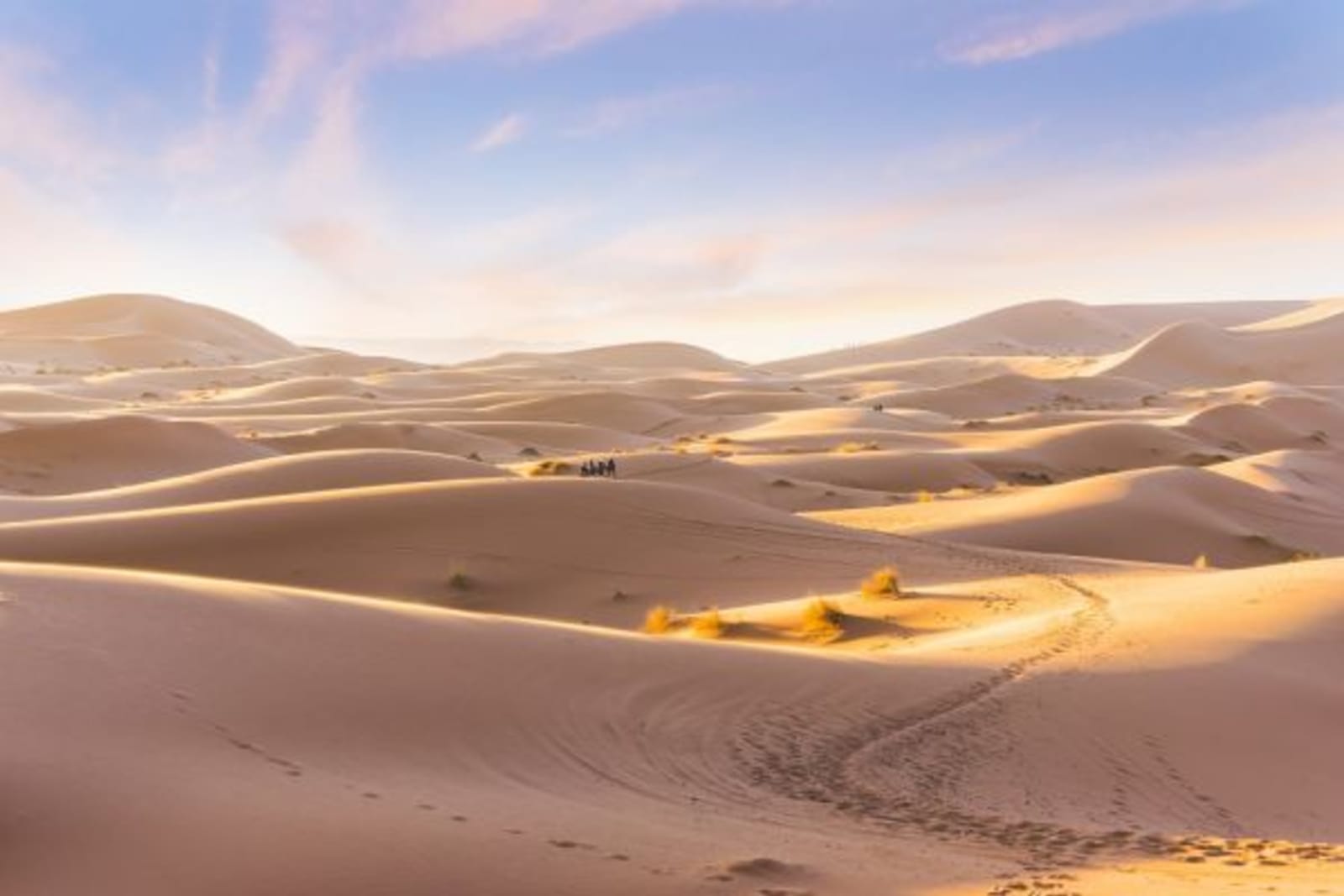 Marrakesh desert