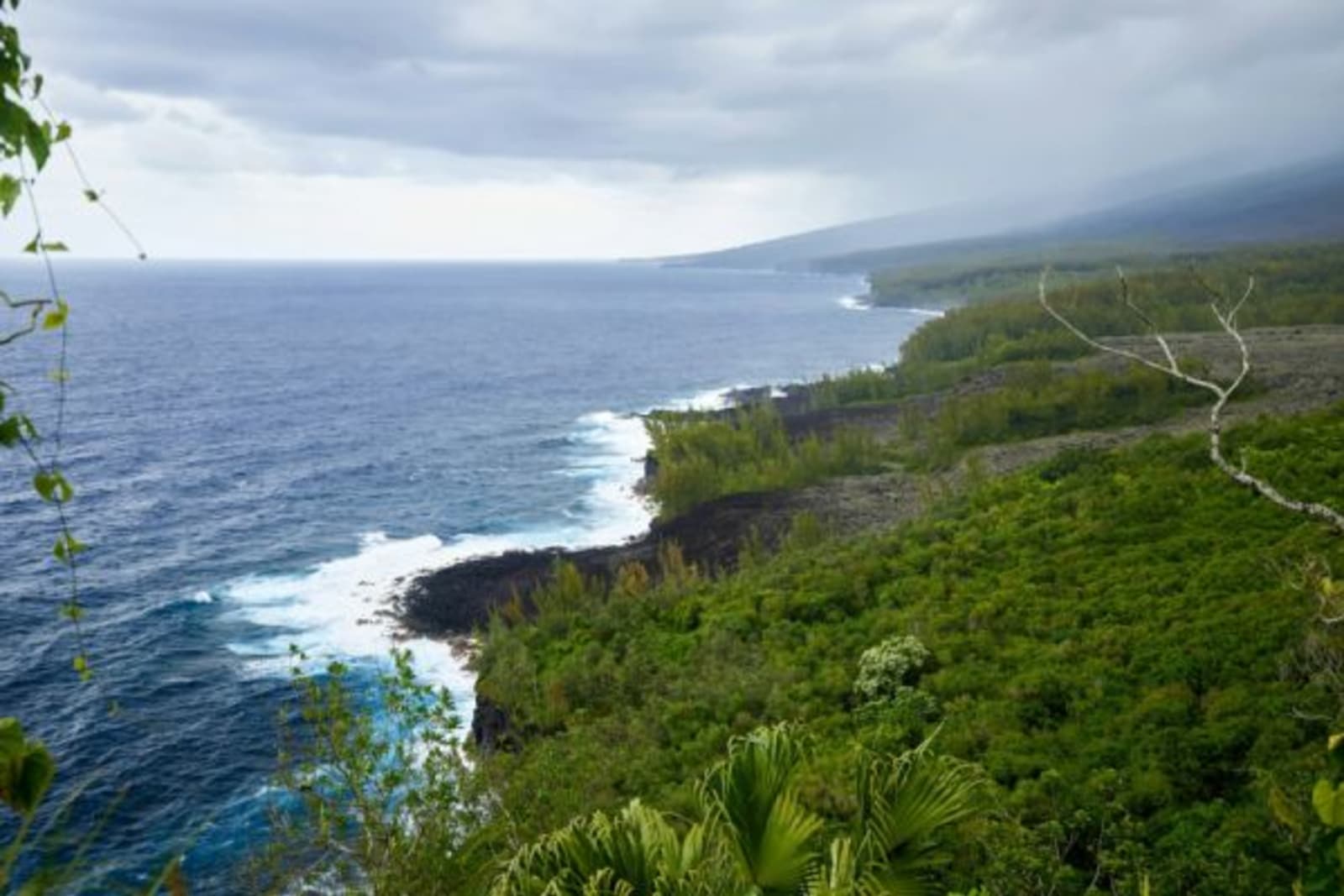 A jagged coastline meets the sea