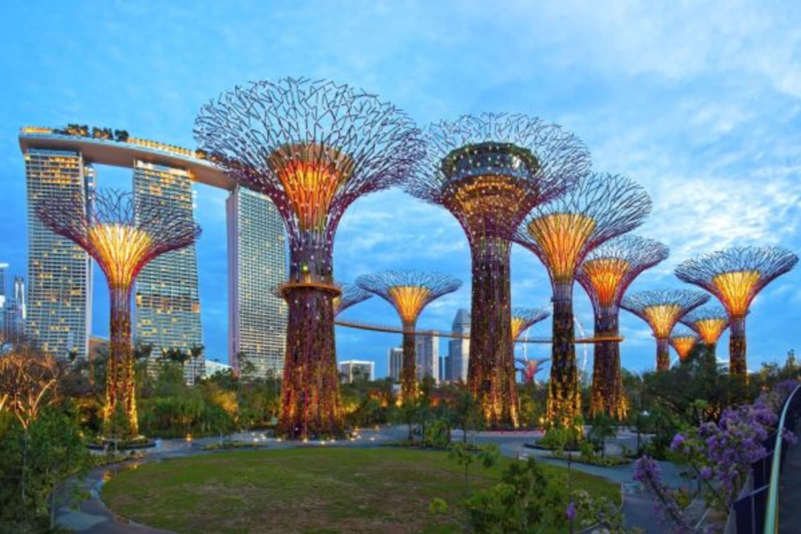 Super tree grove lite up at night in Singapore