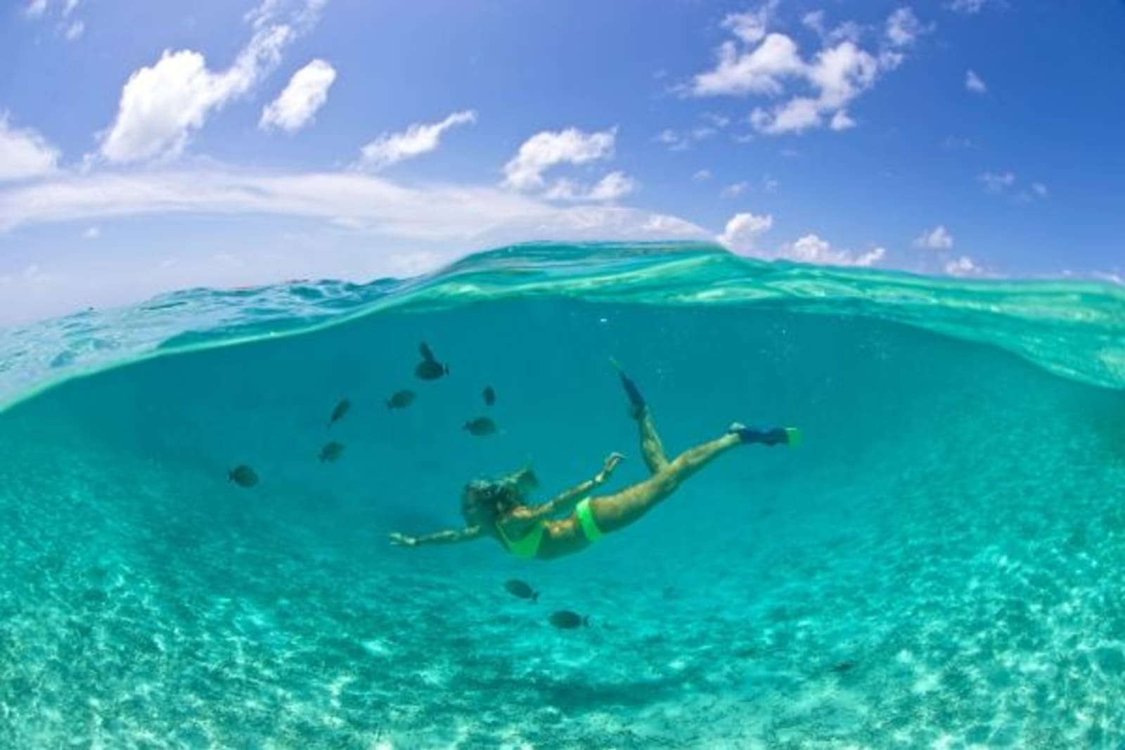 Half view of Female swimming under water with fish and half sky