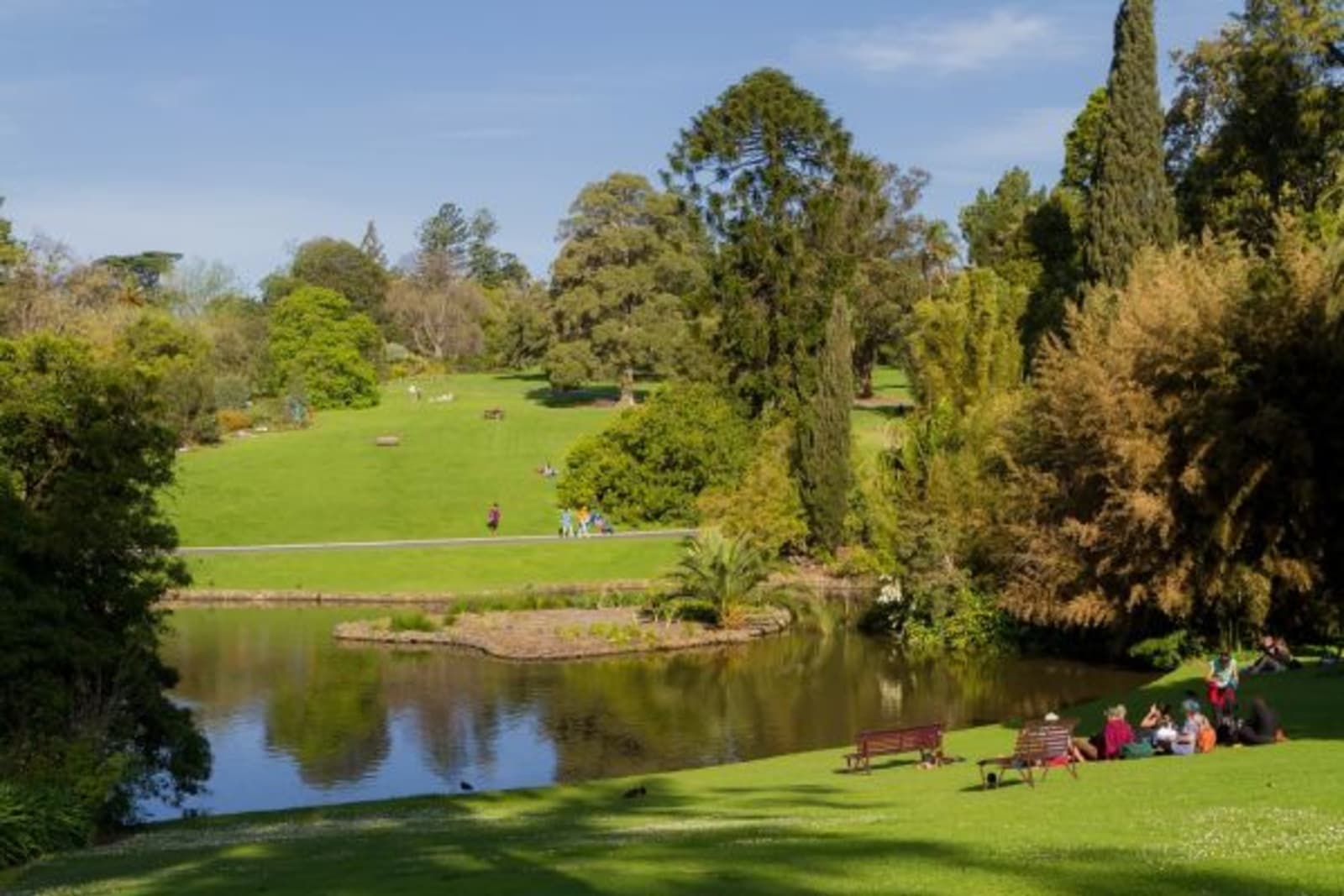 Botanic gardens with lake