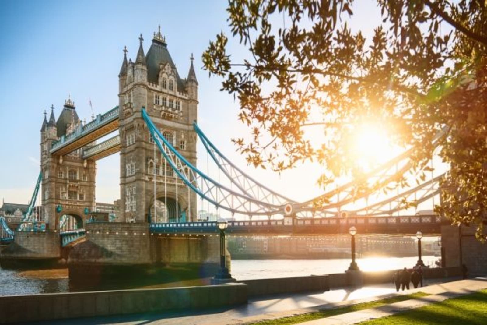 Angled view of Tower Bridge with sun shining through a tree