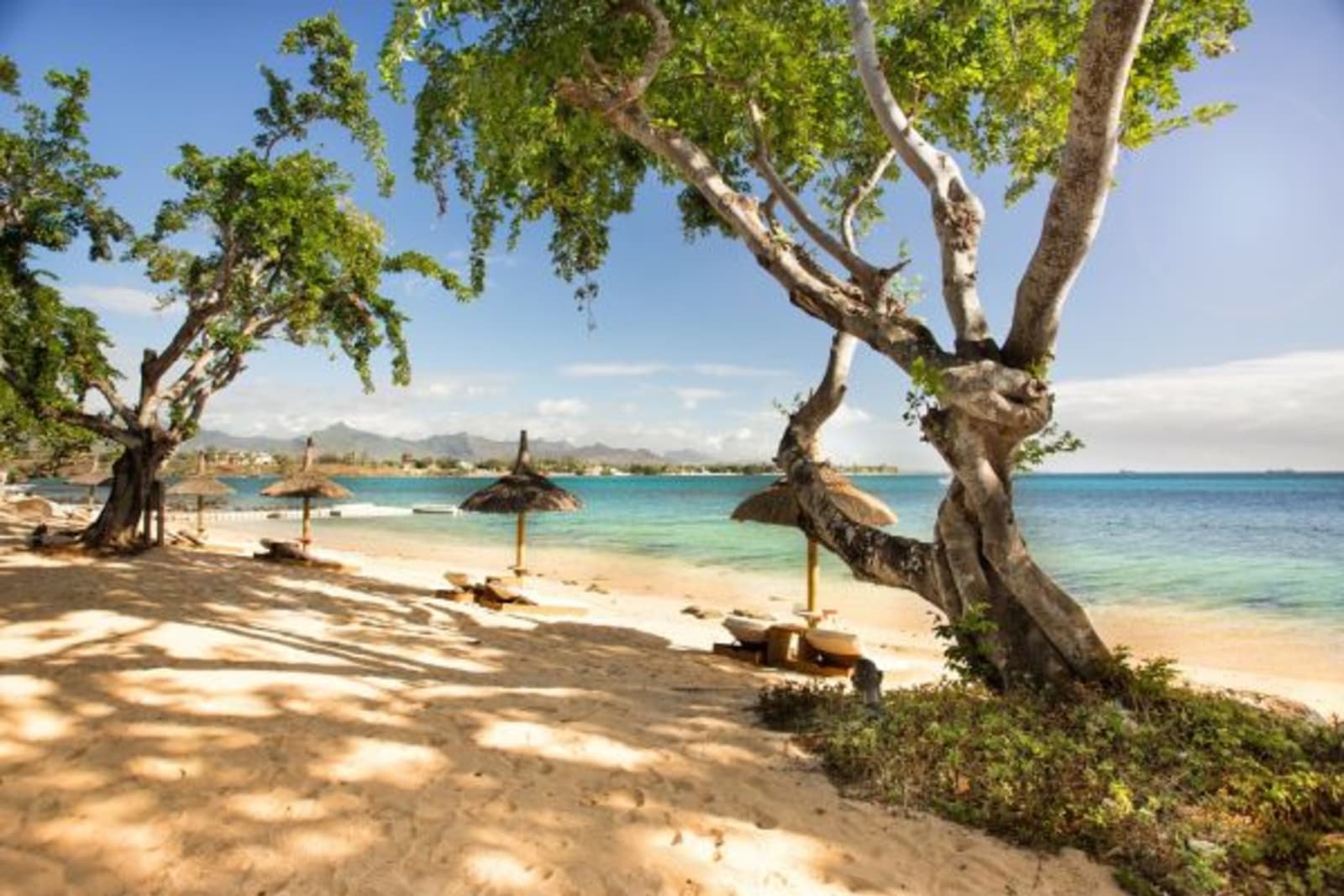 Behind shot of a beach with natural beach umbrellas in Mauritius