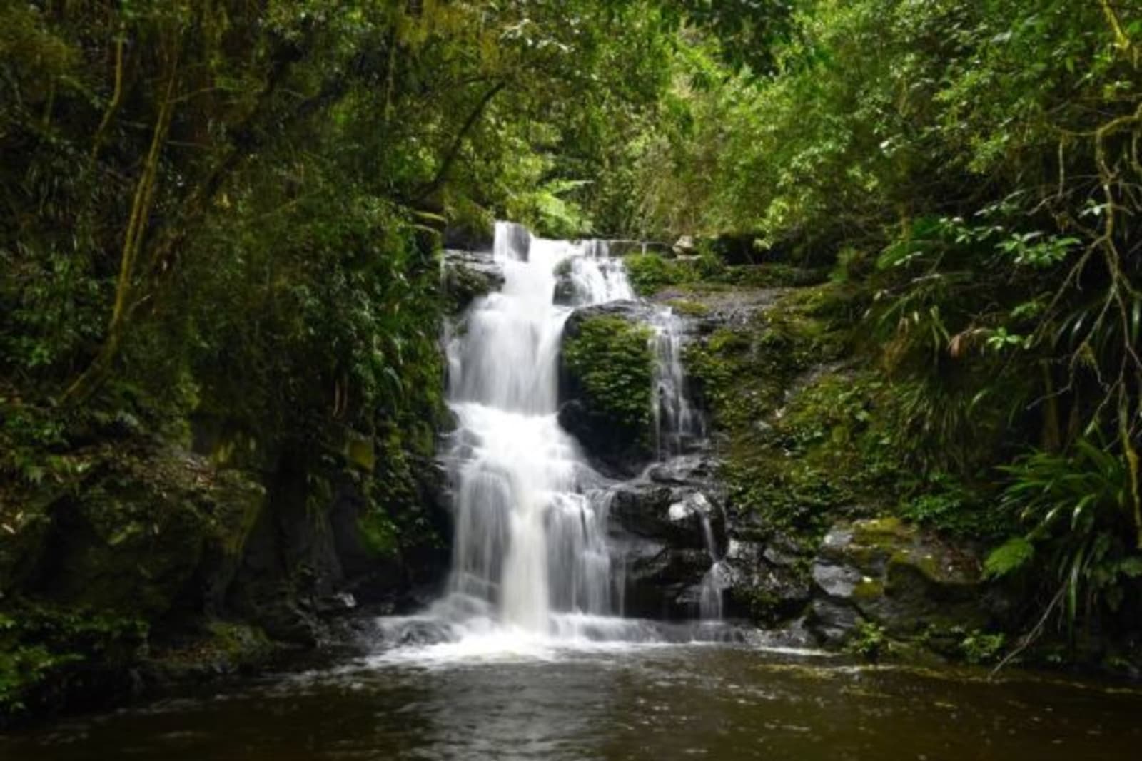 Small flowing waterfall with greenery surrounding it