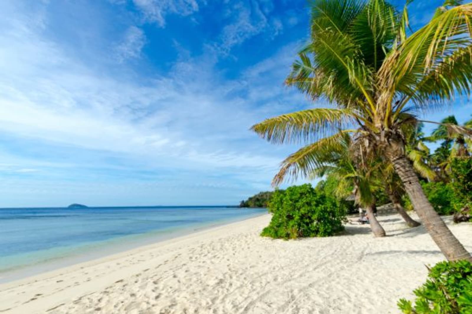 Beach front with trees and bushes
