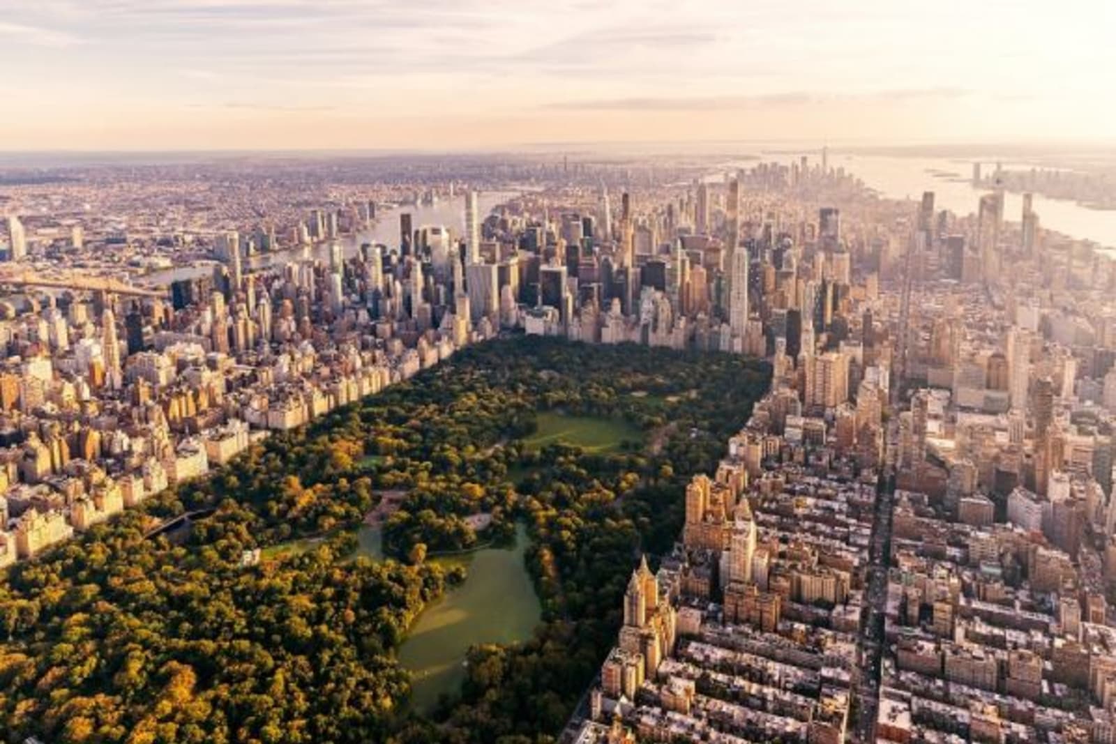 Aerial view of Central Park, New York