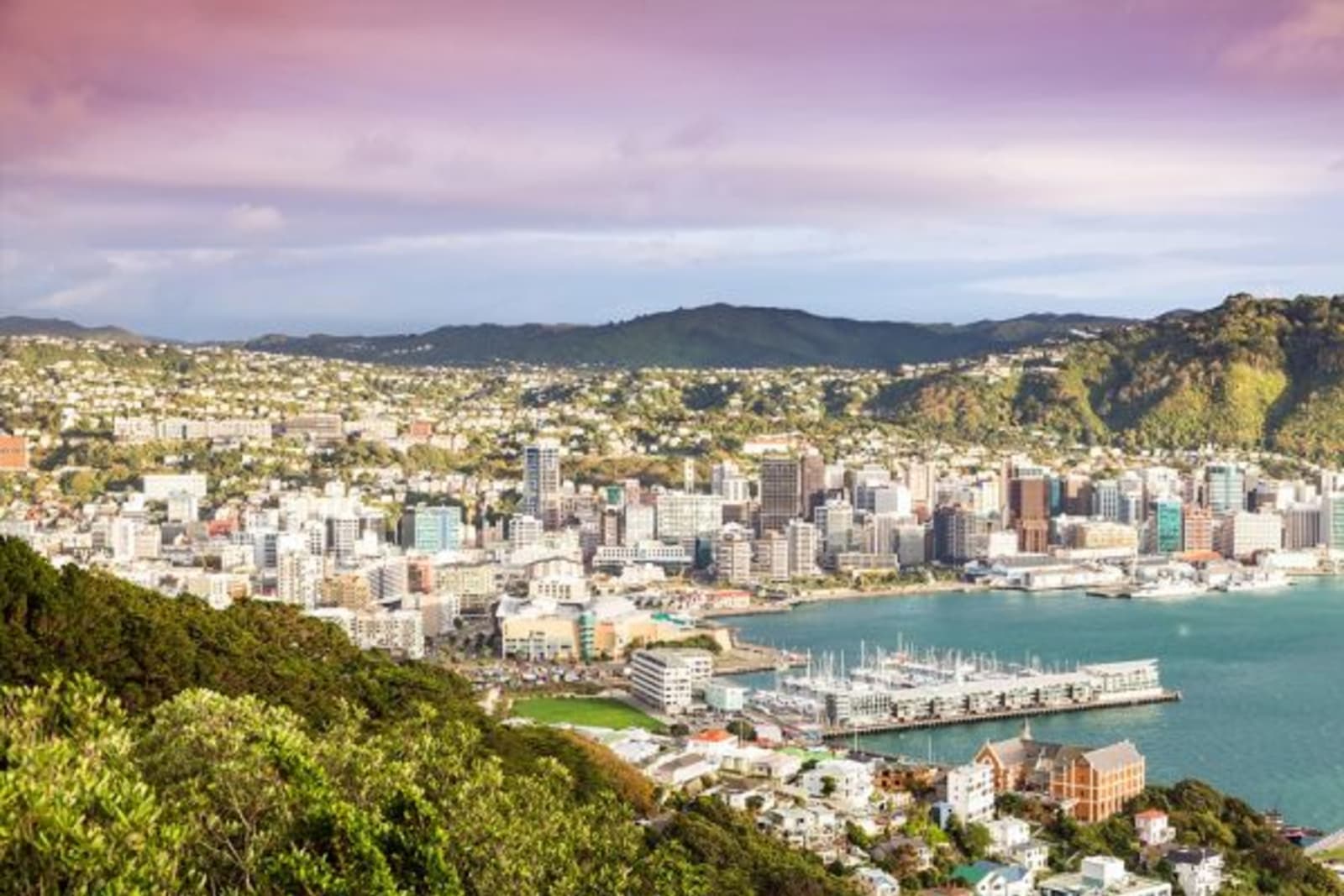 Distant view of city skyline in Wellington