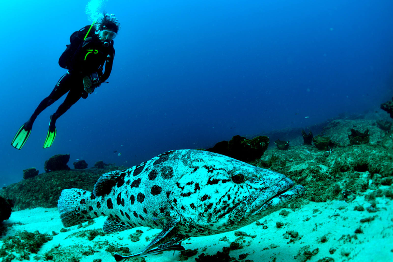 mozambique
