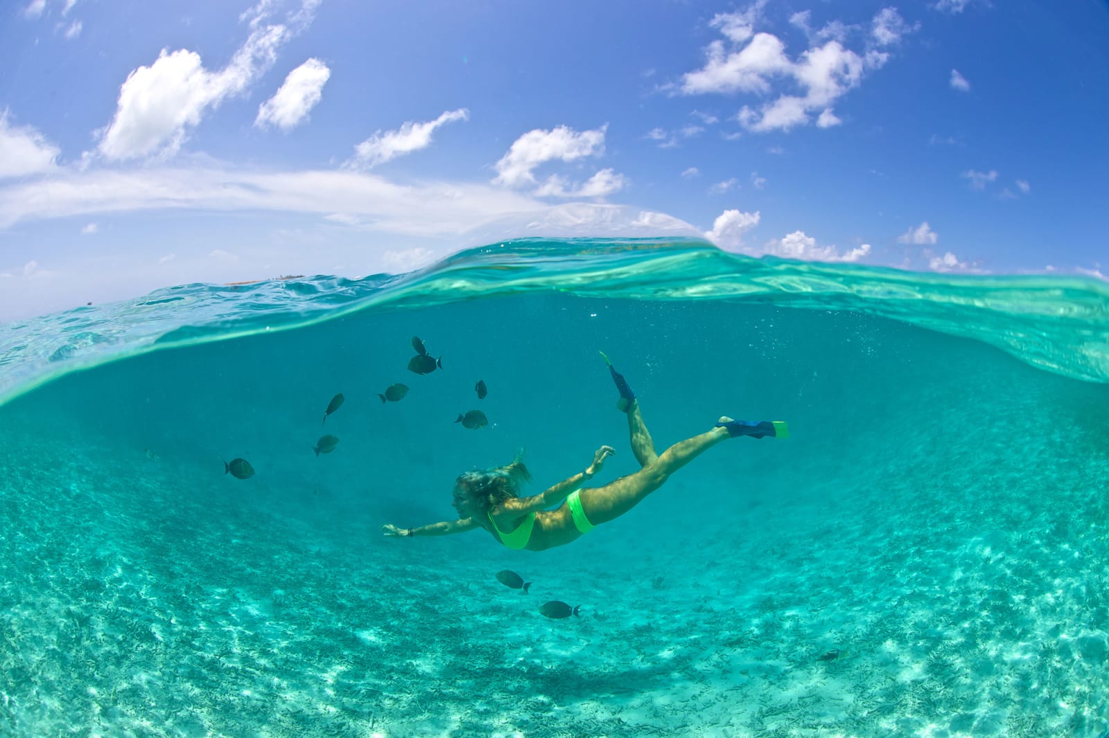 Snorkelling in Maldives