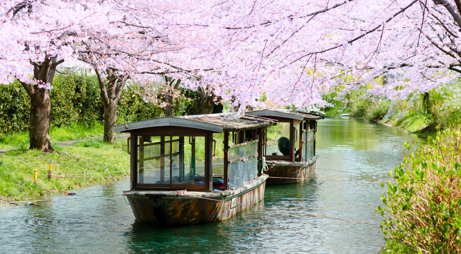 Boat Ride in Japan