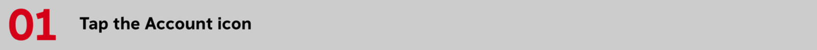 Tap the Account icon