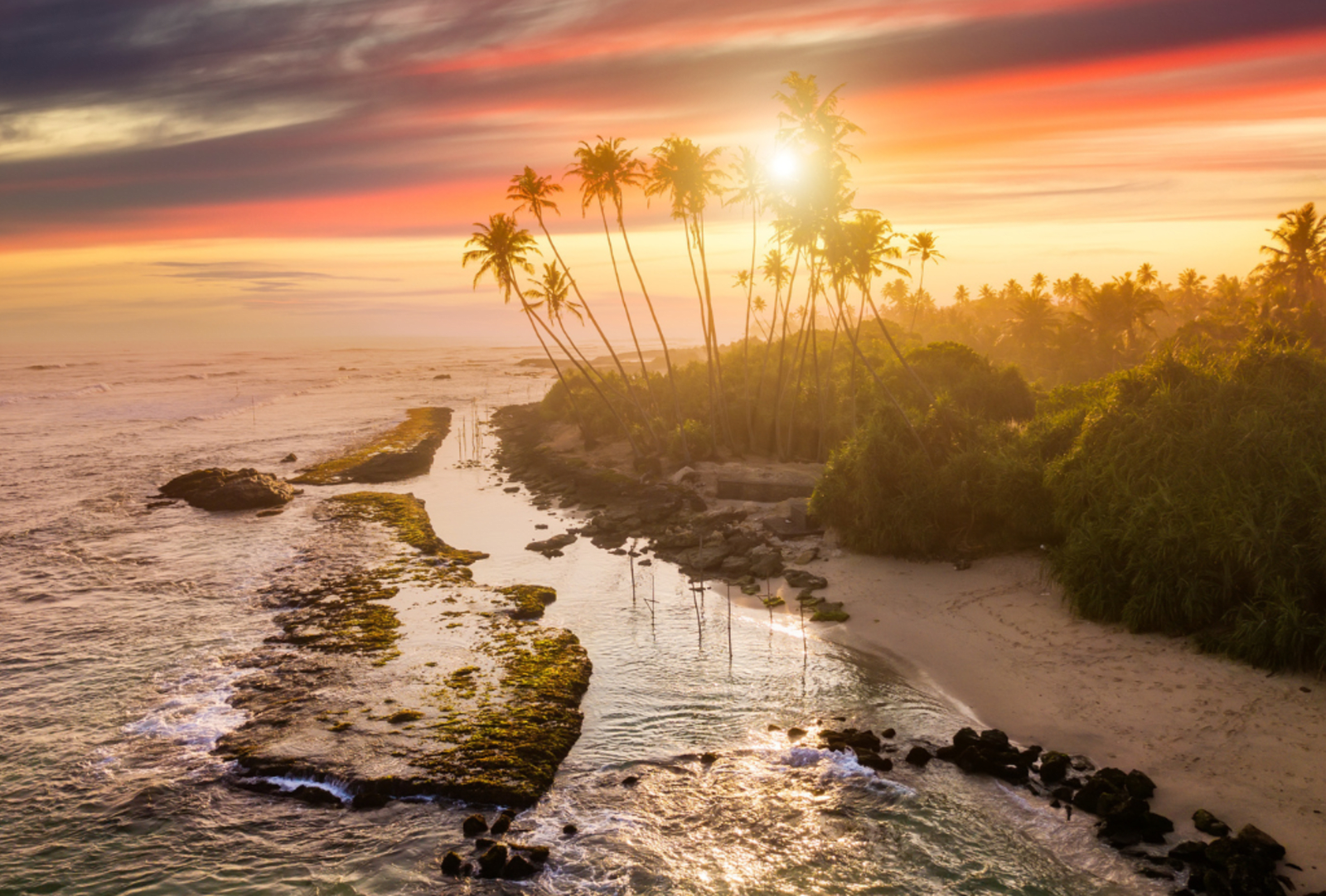 A red and golden sunset over coconut palms and lush forest in Sri Lanka